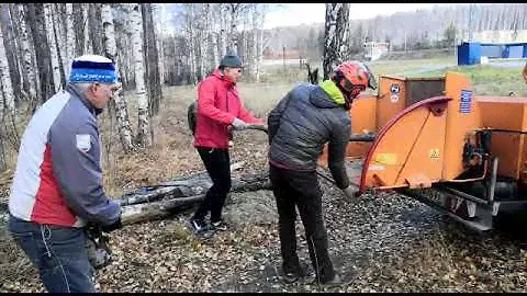 Расчистка территории учебно-спортивной базы "Динамо" Биатлон: уборка валежника