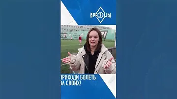 БраДцы решают! Болельщики и фанаты Динамо в Pari Amateur League.