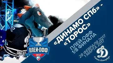 ПЛЕЙ-ОФФ 1/8 финала. Динамо СПб - Торос. Матчи в Петербурге: как это было