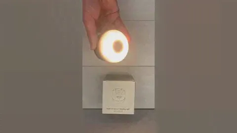 Фонарь кемпинговый EcoFlow + Powerbank 3600 mAh