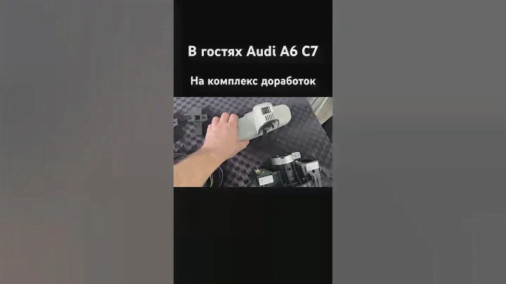Поддержка болельщиков ХК Динамо