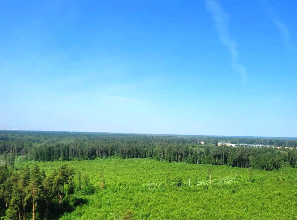 Сдаю студию 23.0 м² этаж 17/17 город Мытищи улица Стрельбище Динамо 10 Медведково-1