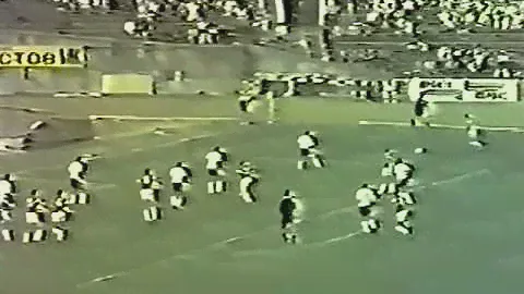 Динамо (Тбилиси, СССР) - СПАРТАК 2:0, Кубок СССР - 1988-1989