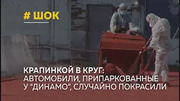 При укладке беговой дорожки стадиона "Динамо" пострадали припаркованные автомобили