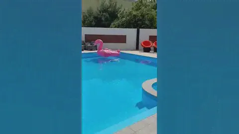 База отдыха Звездочка