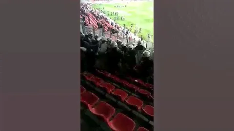 Греческие "космонавты" избили фанов "Динамо" на трибунах стадиона.