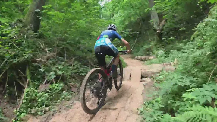 Динамо XCO