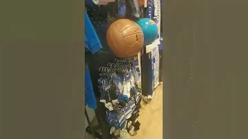 футболки динамо