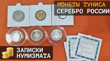 Французский Тунис и серебро Российского спорта - Динамо, Локомотив, ЦСКА