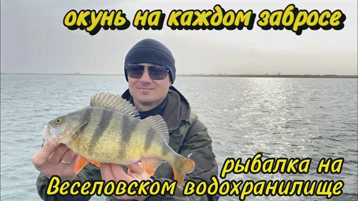Рыбалка на Веселовском водохранилище. Крупный окунь на каждом забросе. 16-17 марта 2024.