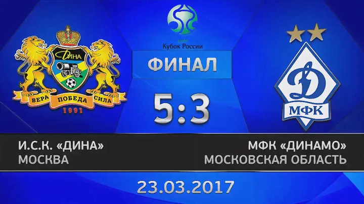 Кубок России. Финал. Дина - Динамо. 5:3