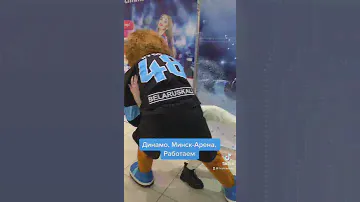 🤼‍♀️ Учимся у лучших, Зубрик-именинник работает! #москвалюблиноработаем
