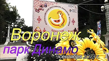 Воронеж, парк Динамо, Фестиваль народной игрушки , 9 09 23 г