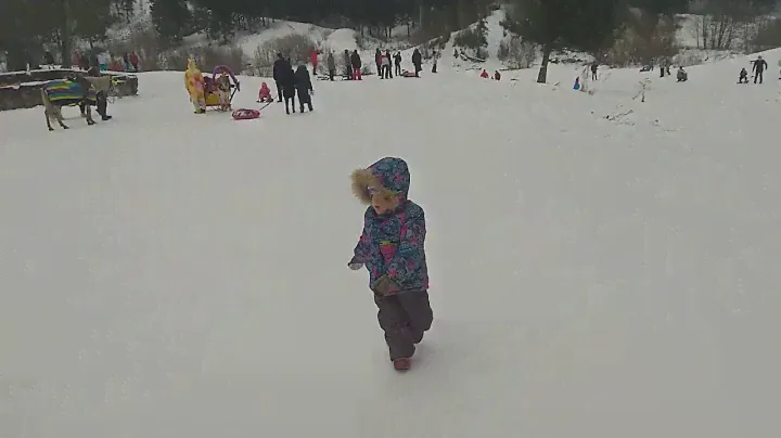 База Динамо Пермь Горки