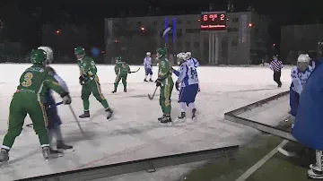 Хоккей с мячом. Чемпионат России 2013-2014 (1)